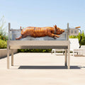 52-Inch Stainless Steel Charcoal Rotisserie Spit Roaster With Wind Shield
