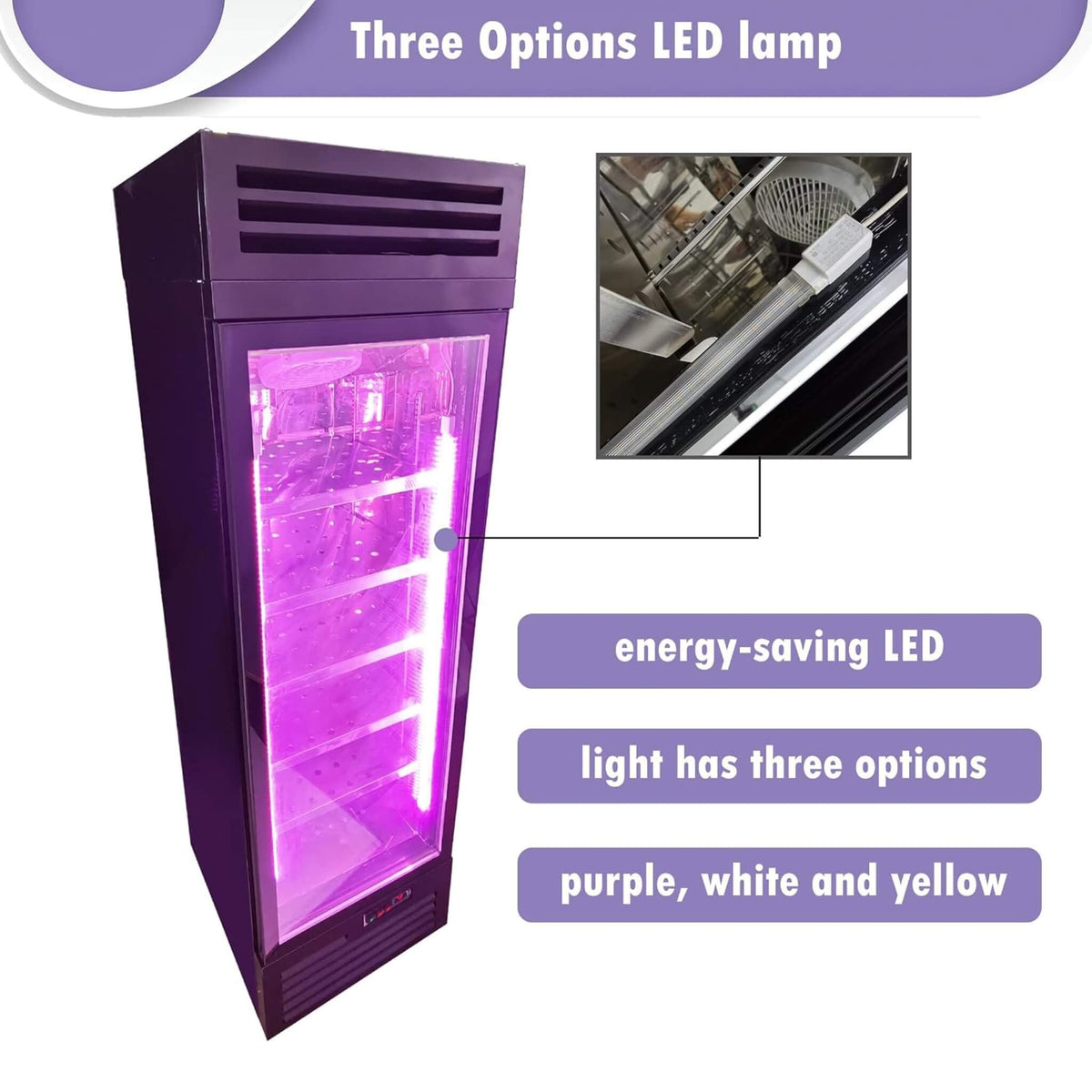 Commercial 400L Stainless Steel 110V Meat Dry Aging Refrigerator